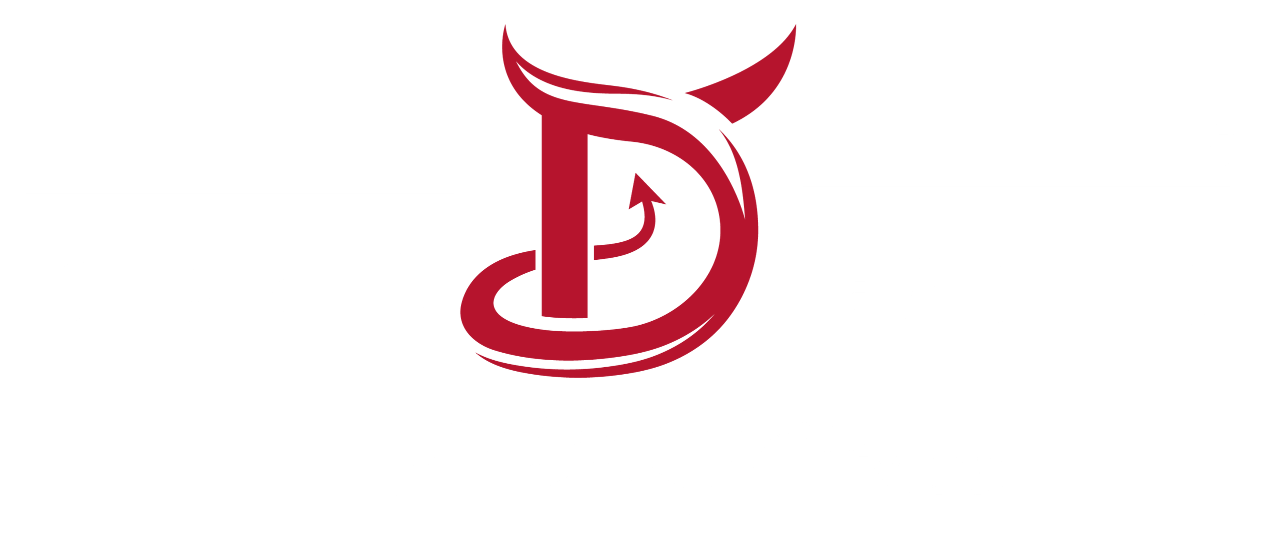 Ball Python Care Guide – Diablo Exotic Pythons